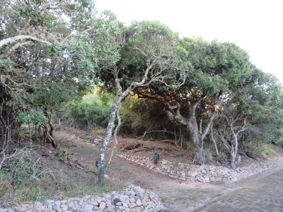 0 Bedroom Property for Sale in East Bank Eastern Cape